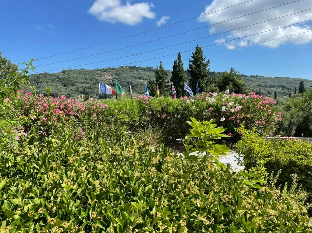 For Sale Hotel 1200 M² In Corfu