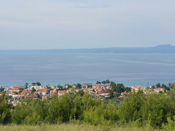Land In Kassandra, Greece