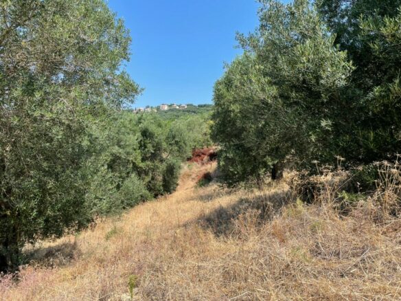 Land In Corfu, Greece