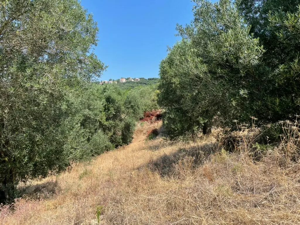 For Sale Land 5200 M² In Corfu