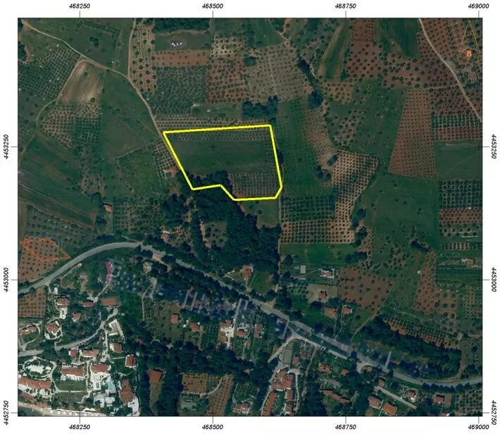 For Sale Land 20000 M² In Sithonia, Chalkidiki