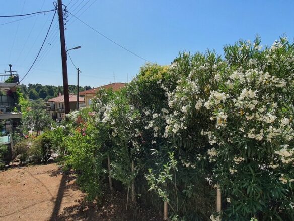 3-bedroom Detached House In Poligiros, Greece (170 M²)