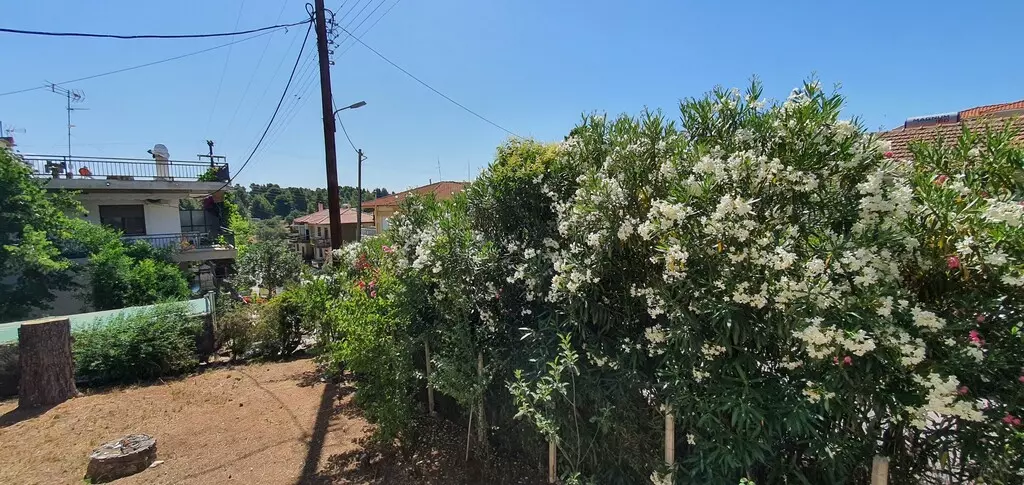 For Sale Detached House 170 M² In Sithonia, Chalkidiki
