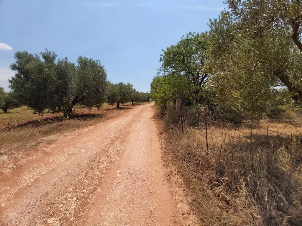 For Sale Land 8300 M² In Sithonia, Chalkidiki