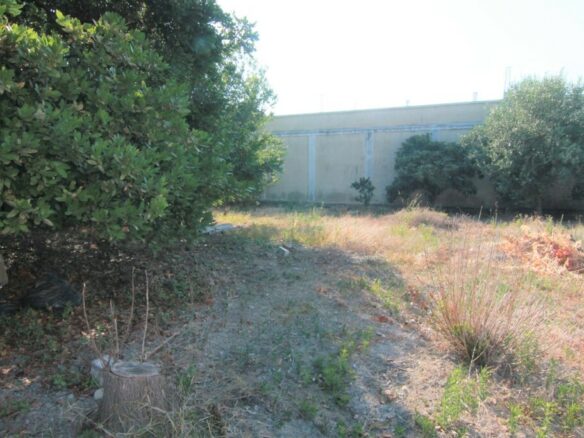 Land In Corfu, Greece