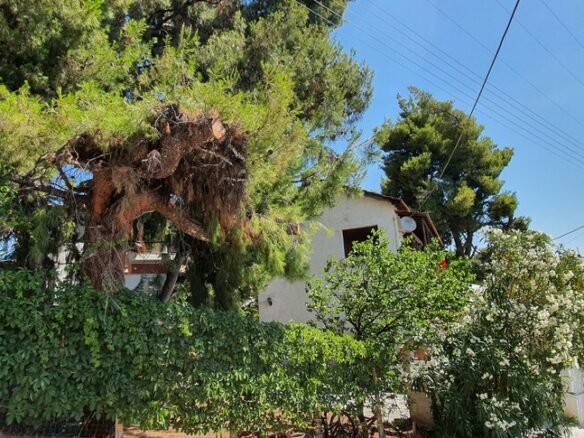 3-bedroom Detached House In Poligiros, Greece (170 M²)