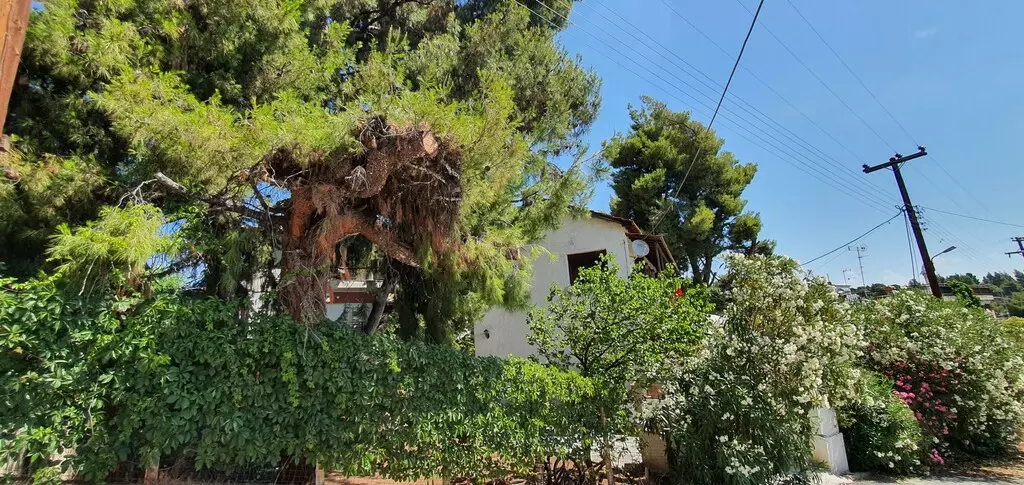 For Sale Detached House 170 M² In Sithonia, Chalkidiki