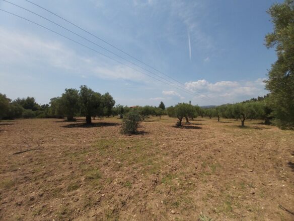 Land In Sithonia, Greece