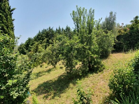 2-bedroom Detached House In Kassandra, Greece (65 M²)