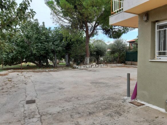 Building In Marathonas, Greece (1.204 M²)