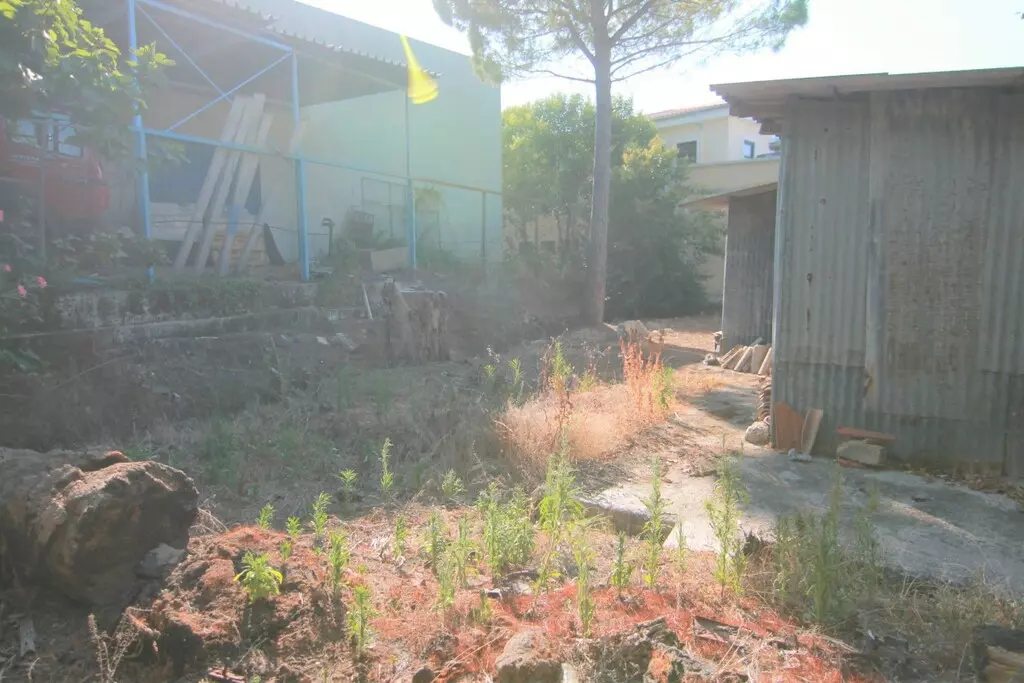For Sale Land 1342 M² In Corfu