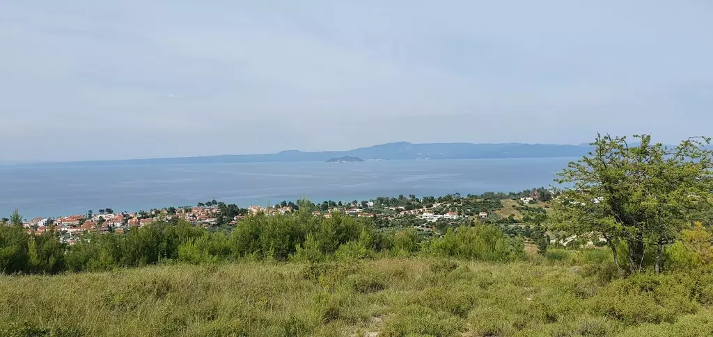 For Sale Land 9603 M² In Kassandra, Chalkidiki