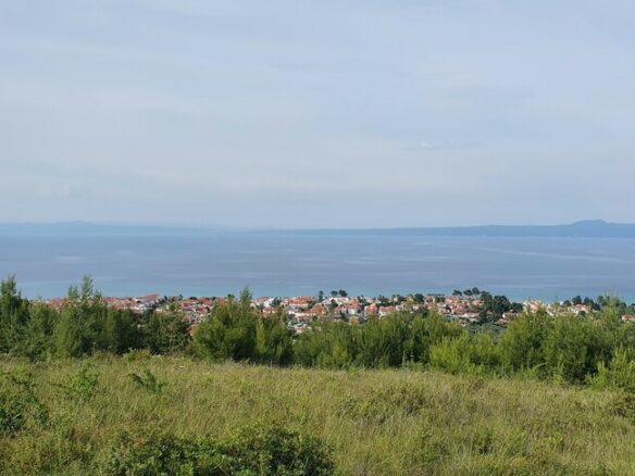 For Sale Land 9603 M² In Kassandra, Chalkidiki