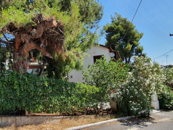 3-bedroom Detached House In Poligiros, Greece (170 M²)