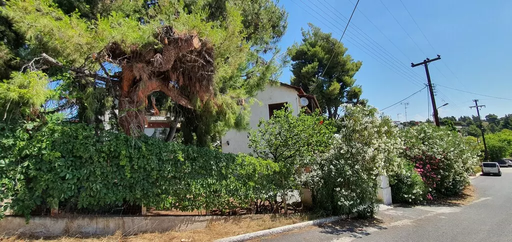 For Sale Detached House 170 M² In Sithonia, Chalkidiki