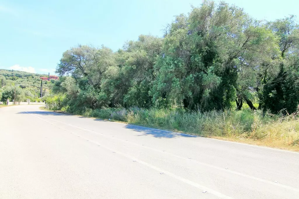 For Sale Land 2000 M² In Corfu