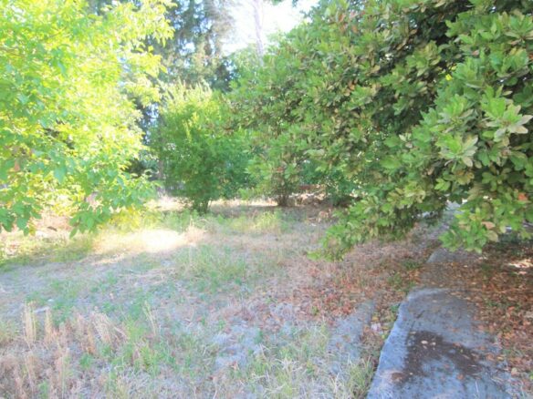 Land In Corfu, Greece