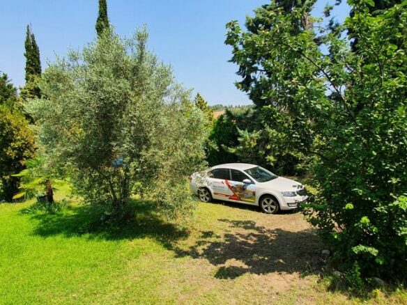 2-bedroom Detached House In Kassandra, Greece (65 M²)