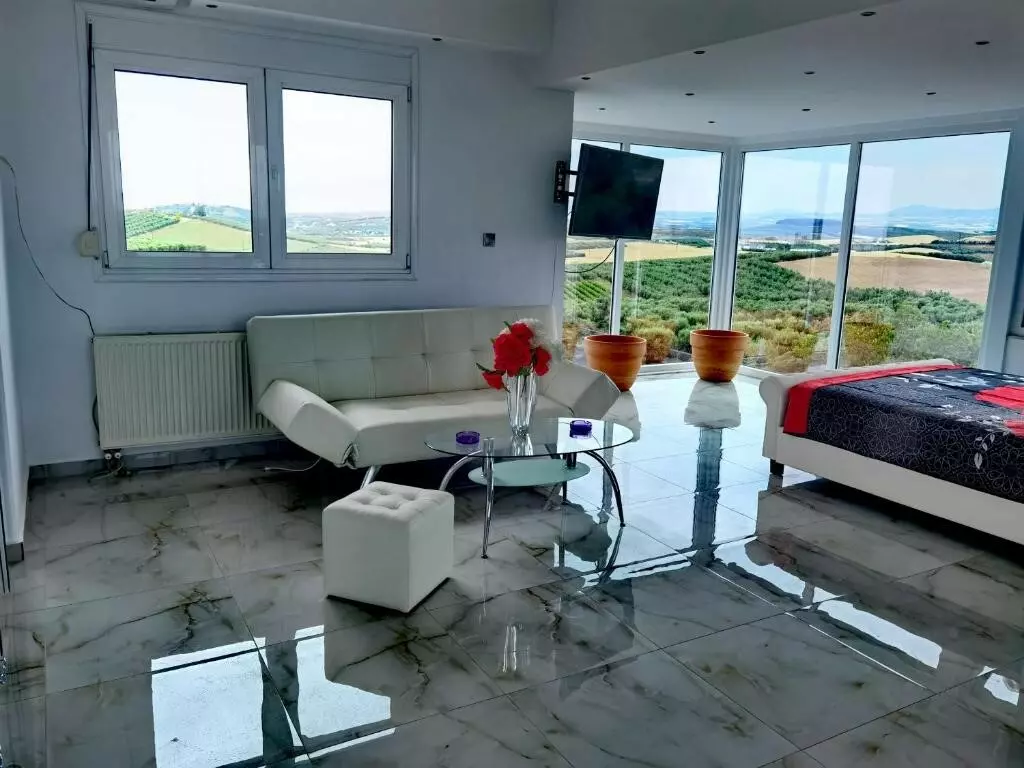 For Sale Villa 330 M² In Chalkidiki