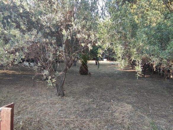 Land In Pallini, Greece