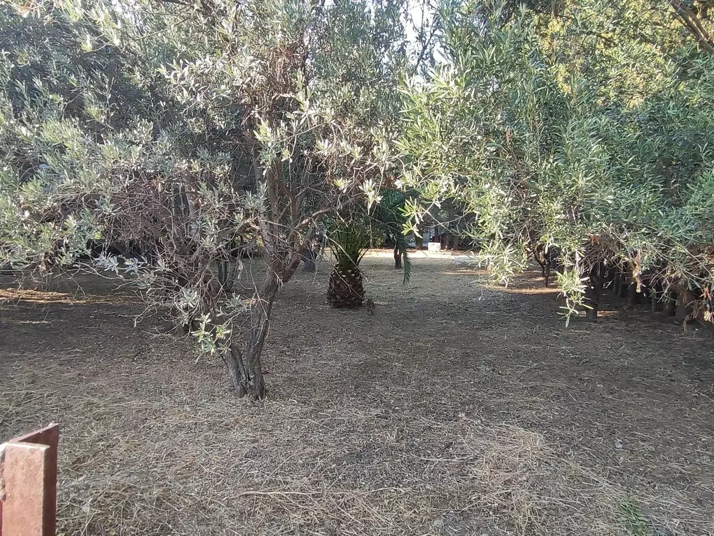For Sale Land 965 M² In Attica