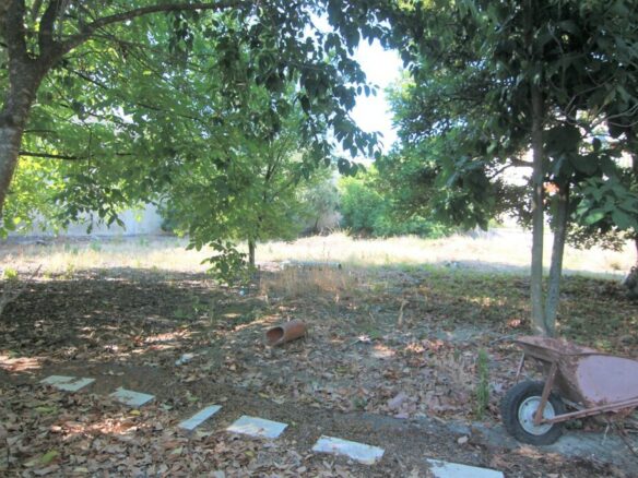 Land In Corfu, Greece