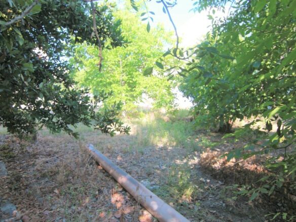Land In Corfu, Greece