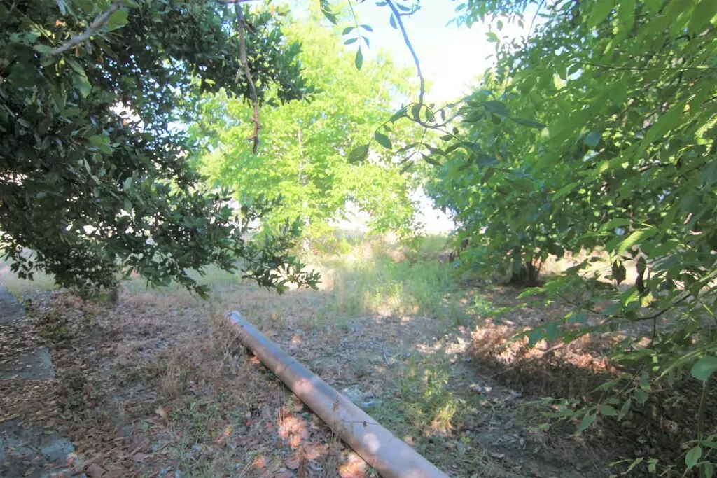 For Sale Land 1342 M² In Corfu