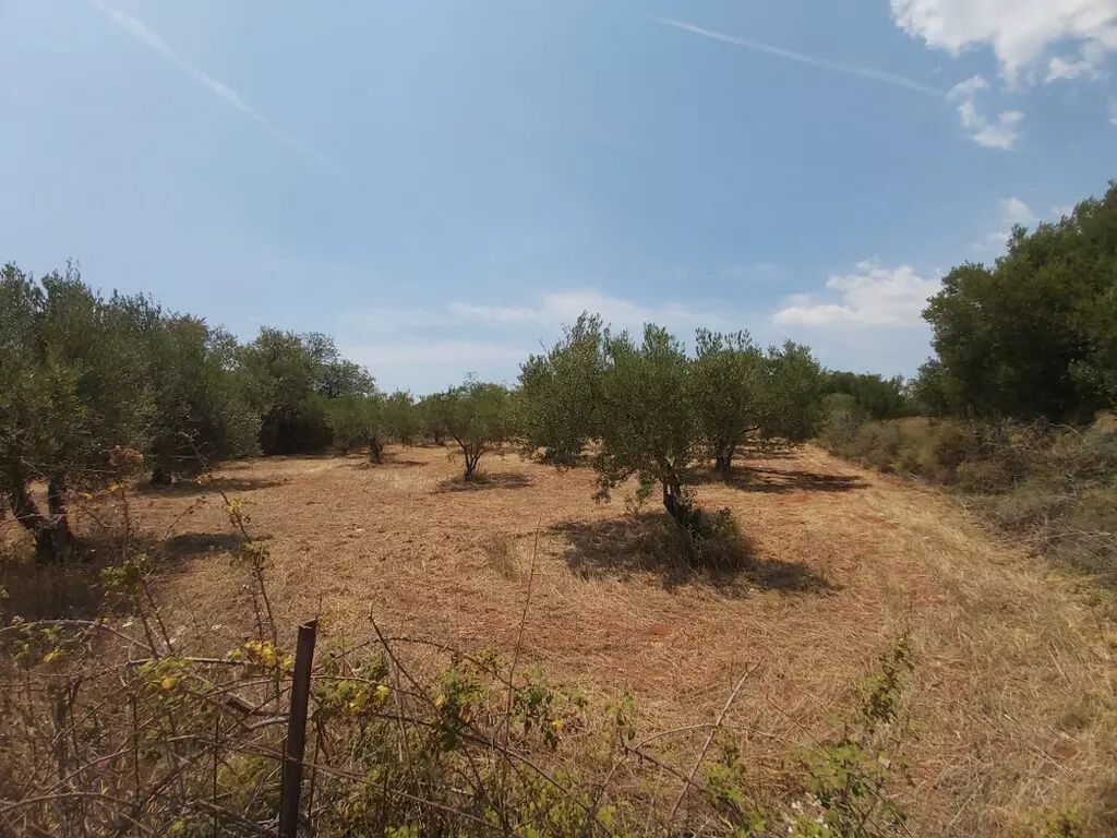 For Sale Land 8300 M² In Sithonia, Chalkidiki
