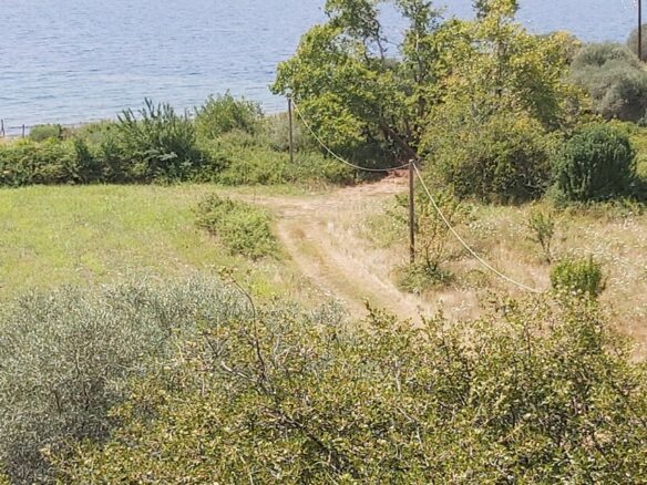 Land In Aristotle, Greece