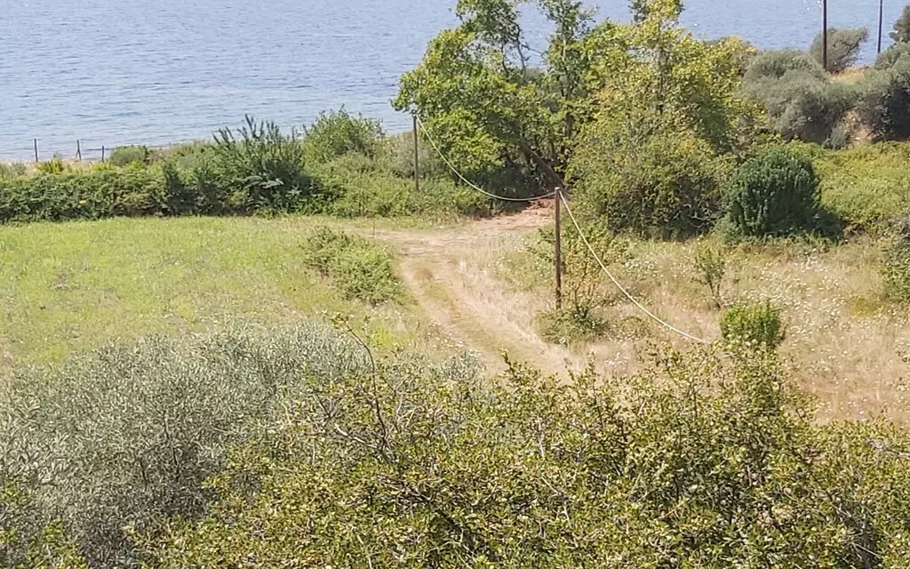 For Sale Land 1600 M² In Athos, Chalkidiki