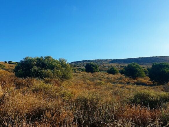 Land In Gouves, Greece