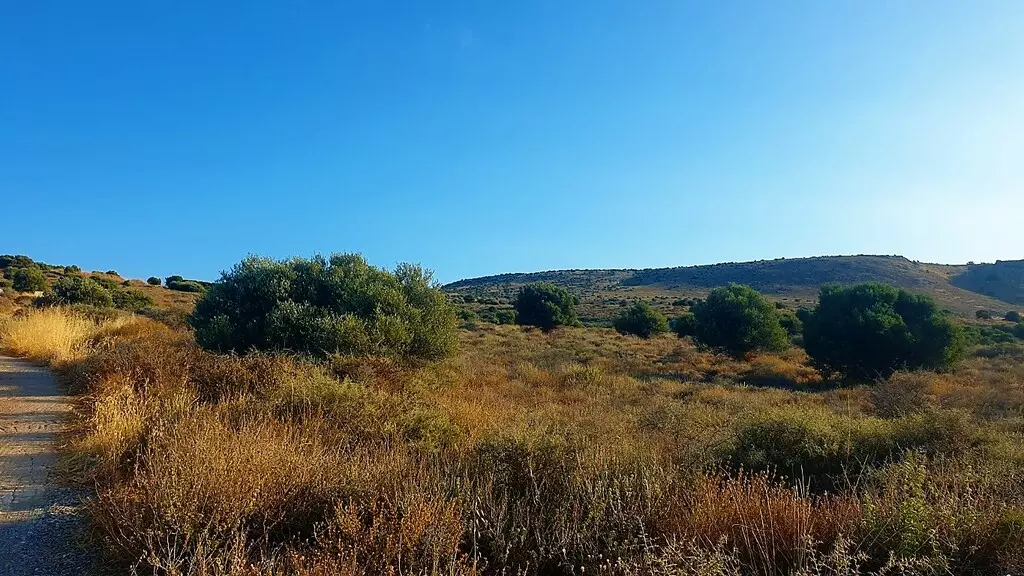 For Sale Land 58000 M² In Crete