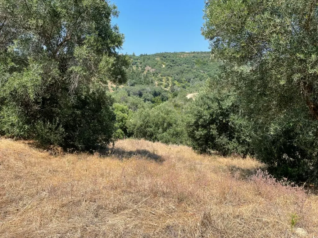For Sale Land 5200 M² In Corfu