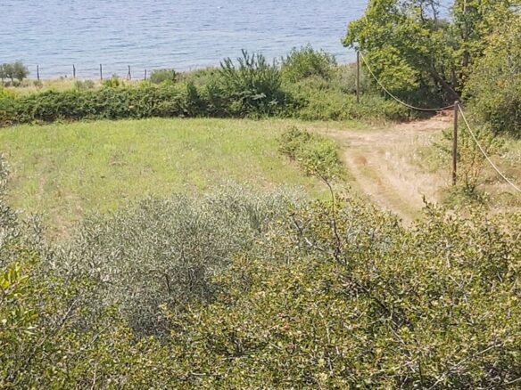 Land In Aristotle, Greece