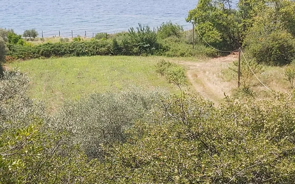 For Sale Land 1600 M² In Athos, Chalkidiki
