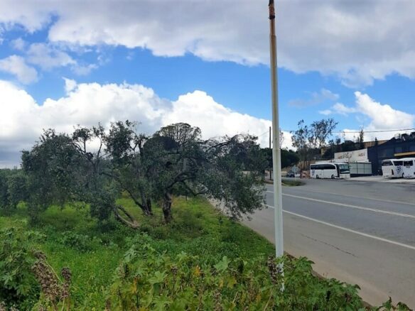 For Sale Land 4000 M² In Crete