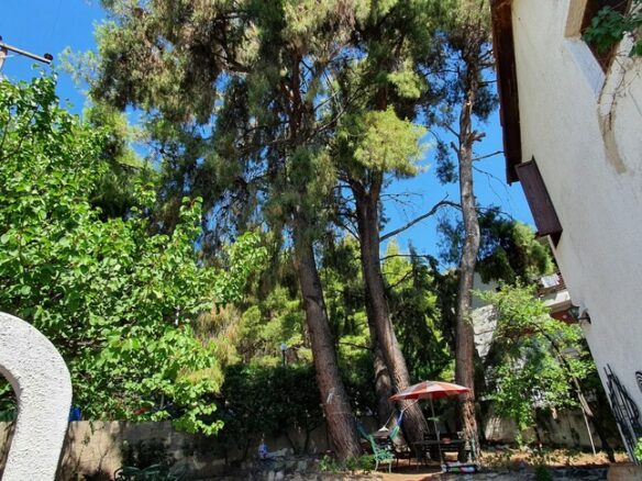 3-bedroom Detached House In Poligiros, Greece (170 M²)