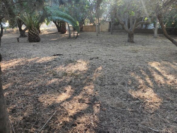 Land In Pallini, Greece