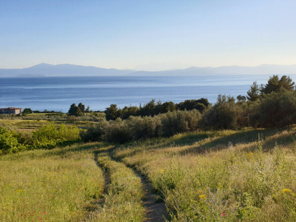 Land In Limni, Greece