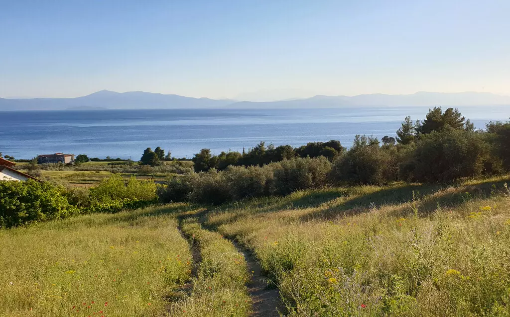 For Sale Land 29486 M² On The Euboea Island