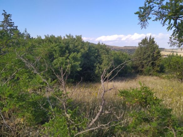 Land In Oreokastro, Greece