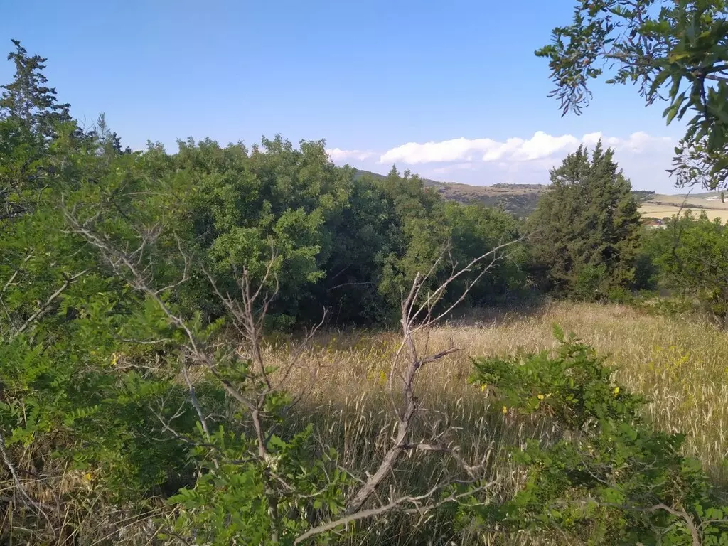For Sale Land 12000 M² In The Suburbs Of Thessaloniki