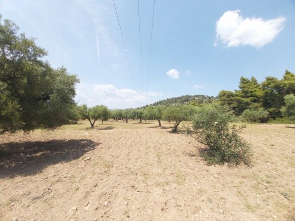 Land In Sithonia, Greece