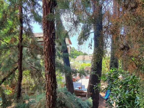 3-bedroom Detached House In Poligiros, Greece (170 M²)