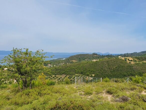 Land In Kassandra, Greece