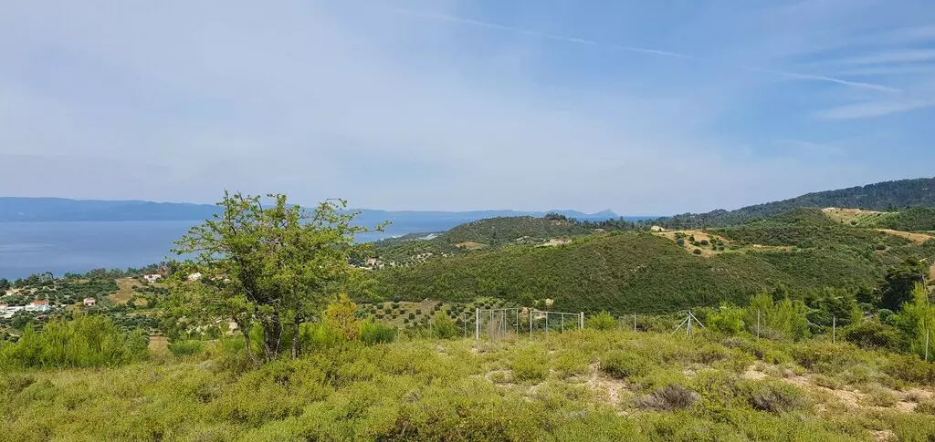 For Sale Land 9603 M² In Kassandra, Chalkidiki