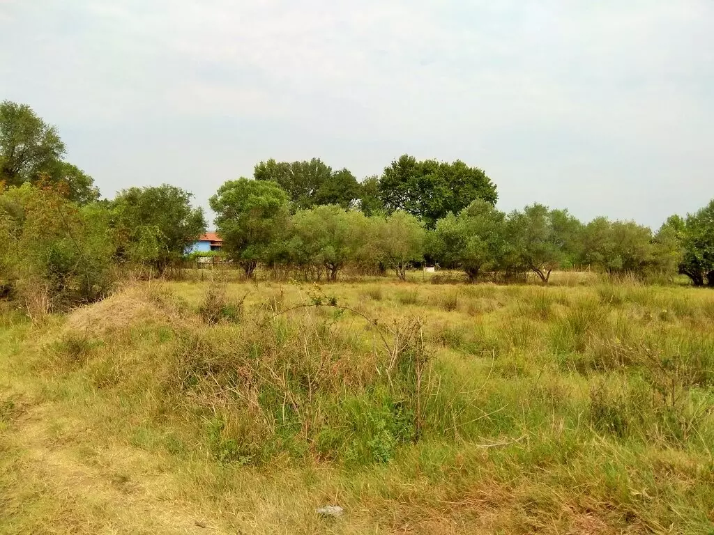 For Sale Land 4313 M² In Athos, Chalkidiki