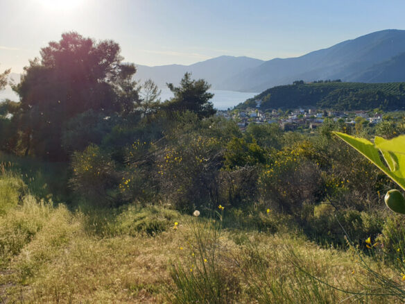 Land In Limni, Greece
