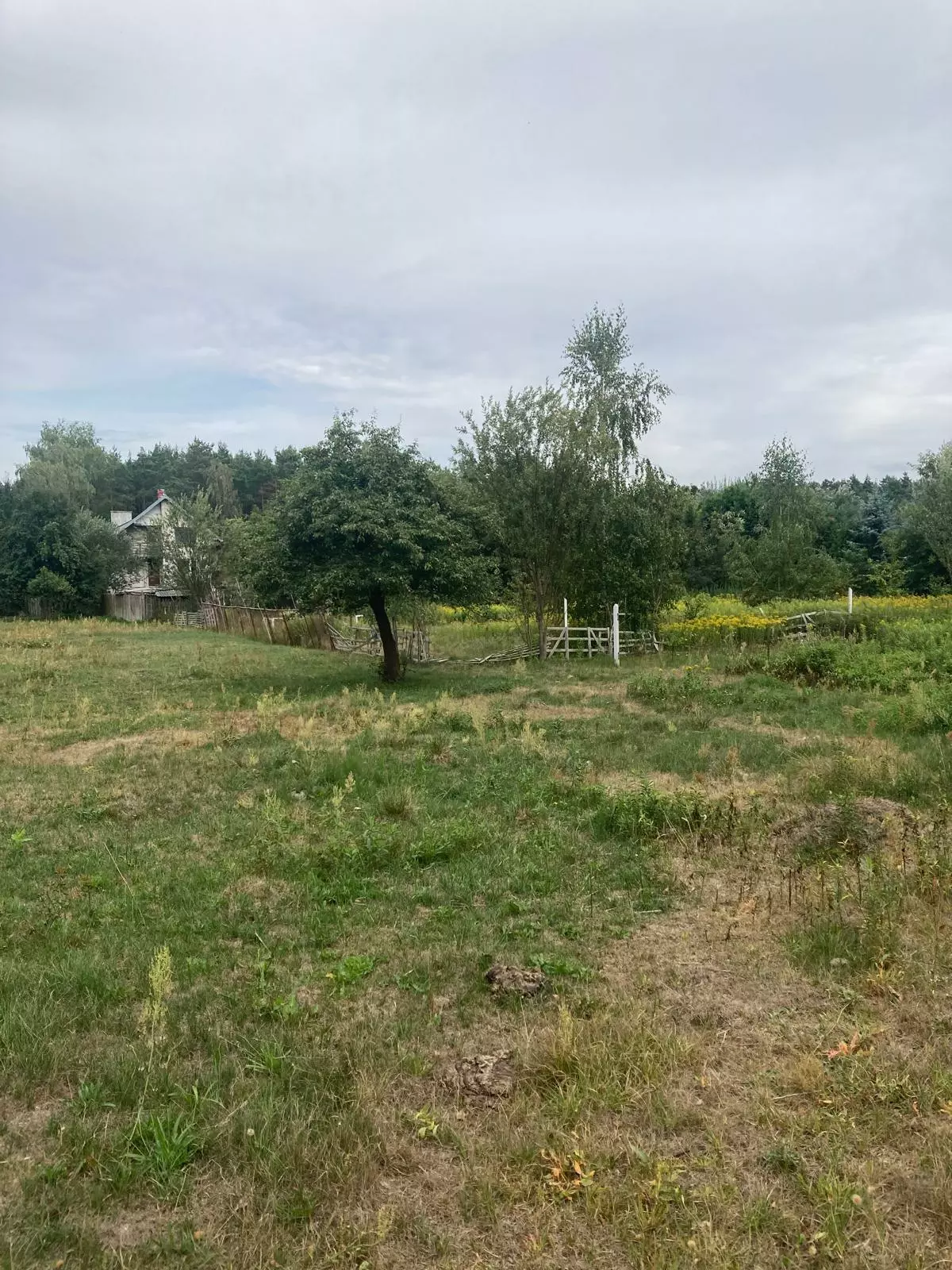 House Of 150 M² With Potential In Gorzewo, Near Płock